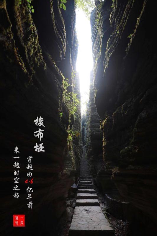 小s晒全家福为大女儿庆祝18岁生日，二女儿身材妖娆太抢镜