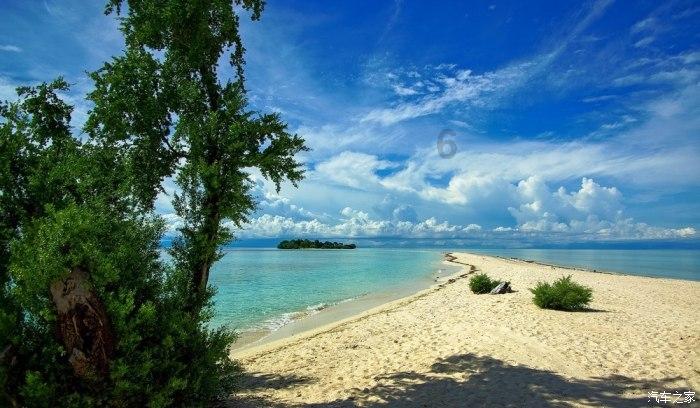 谢谢你的关注 天黑难辨龙与蛇，浑水摸鱼，六亲相认非本性，有奶是娘人不同，是什么动物？