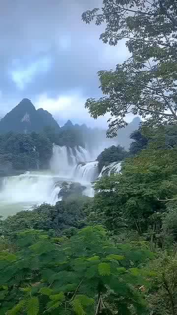 救援可怜的穴居人