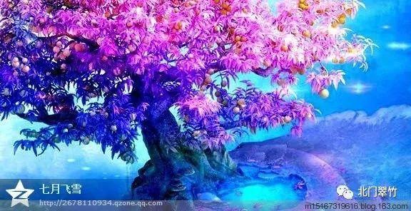 清理脏乱的宫殿